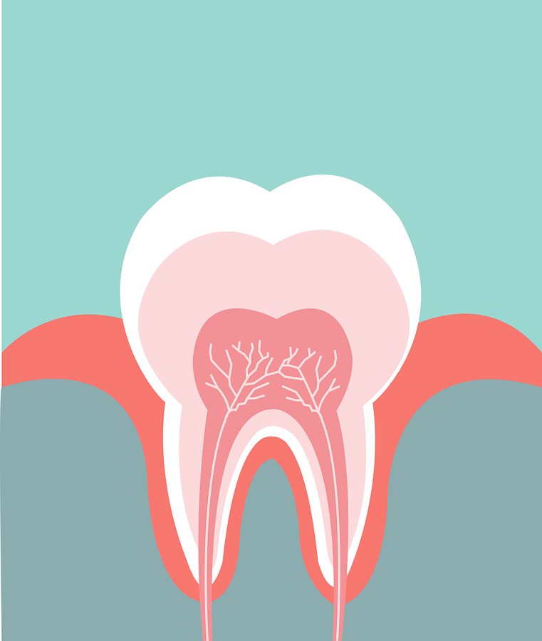 Endodontist | Dentist in Los Altos, CA | Main Dental